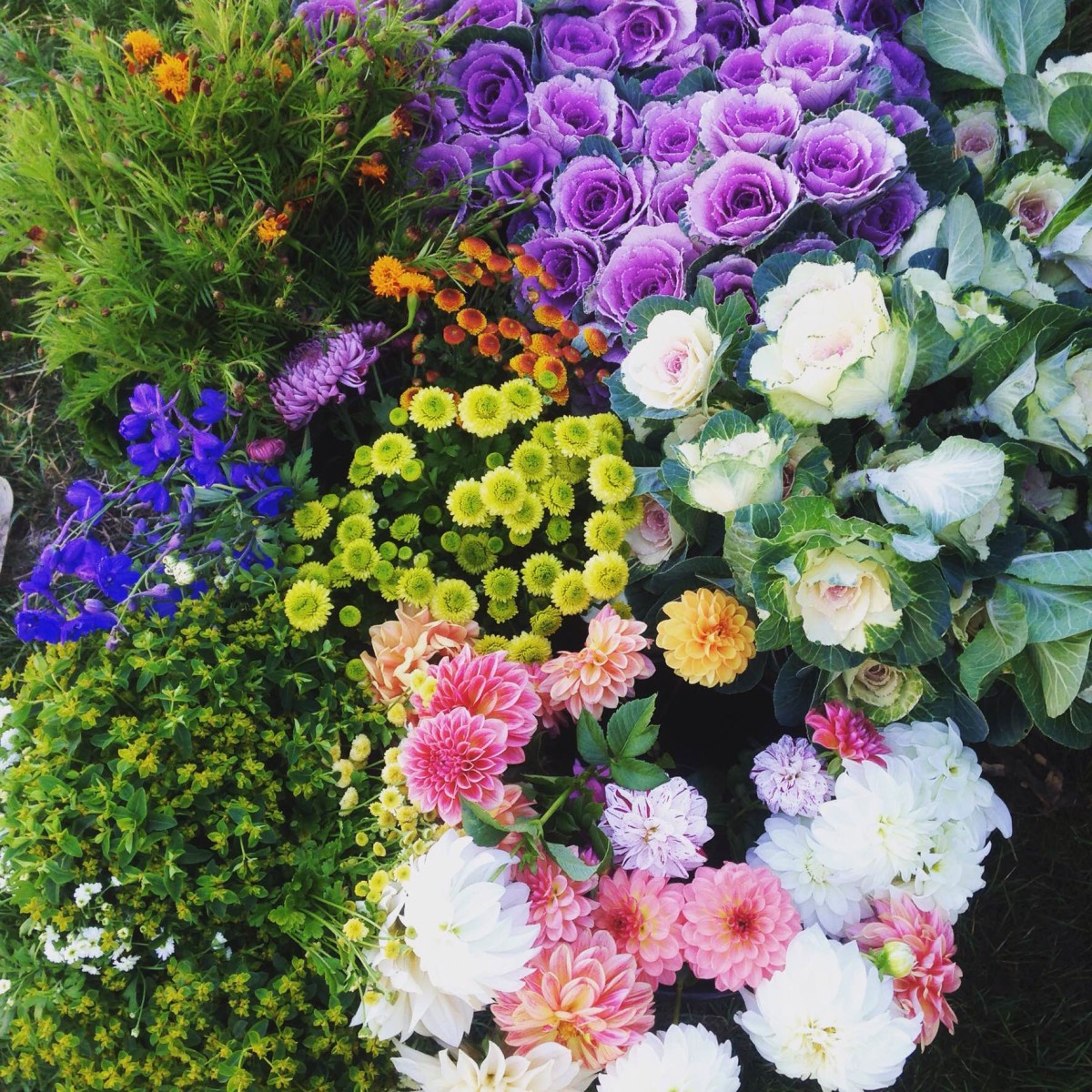 several bunches of flowers in a variety of colors