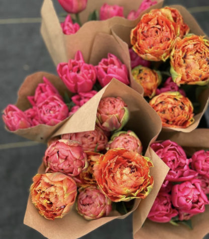 Spring Fever Flower Bunch CSA 2023-Sold out....but check out our other shares!!! - Image 2